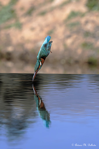 media thumbnail 1